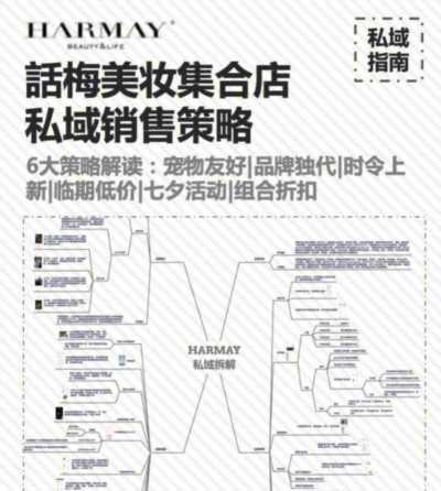 国内化妆品品牌营销策略 国内化妆品品牌营销策略论文