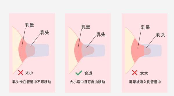 挤乳液方法视频 挤奶使用方法教学