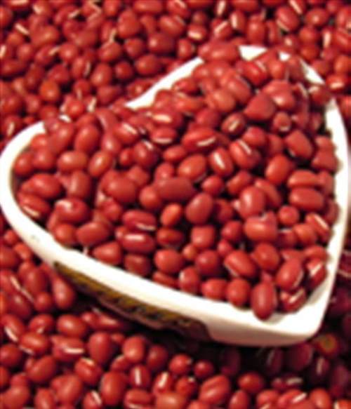红豆排毒快速减肥方法 1月瘦20斤不反弹
